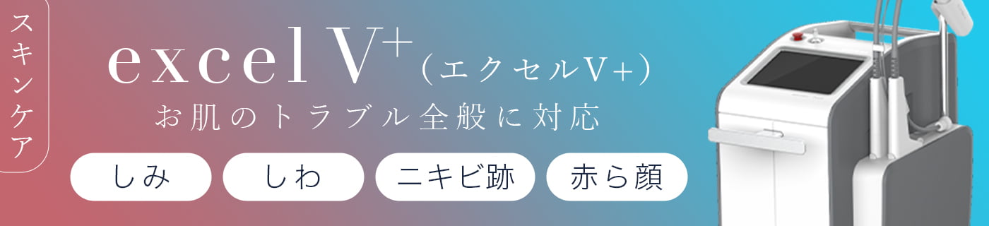 エクセルV+